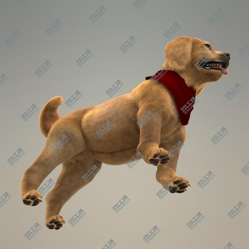 images/goods_img/2021040232/Retriever Puppy with Fur/5.jpg